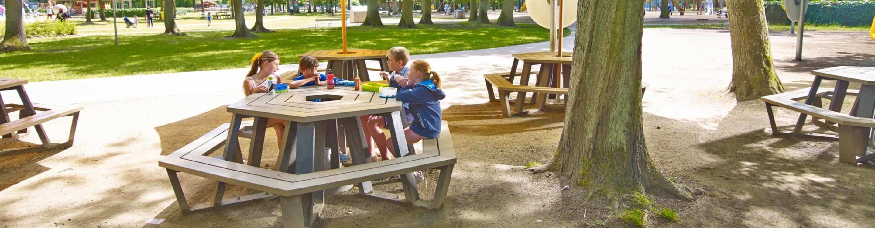 Trafiroad VVS picknick Roma 02