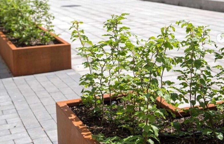 Trafiroad VVS plantvakomranding 02