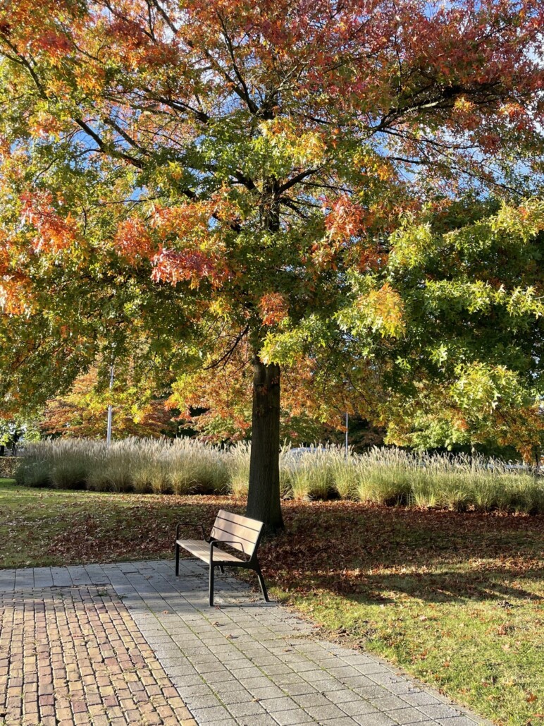 VVS mmcite mielabank ref hasselt 02