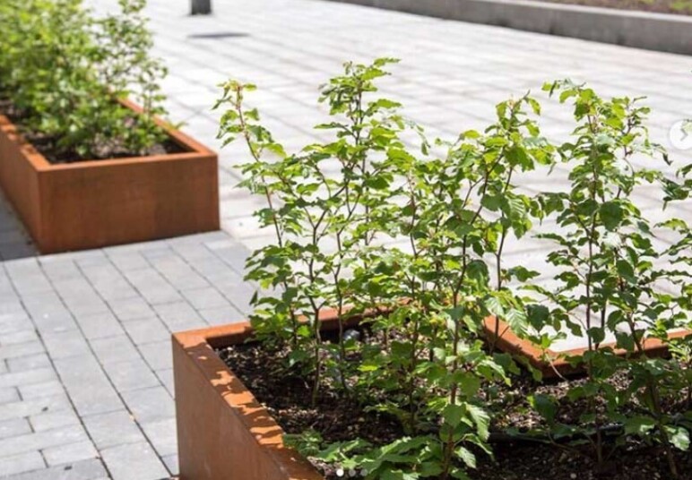 Trafiroad VVS plantvakomranding 02